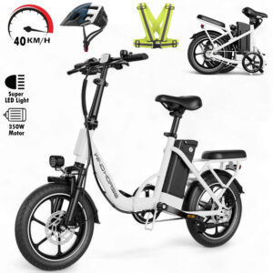 Wind Horse W2B Folding Electric Bike