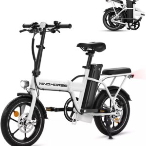 Wind Horse W2A Folding Electric Bike