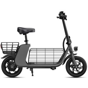 C2 Cargo Electric Scooter 450W