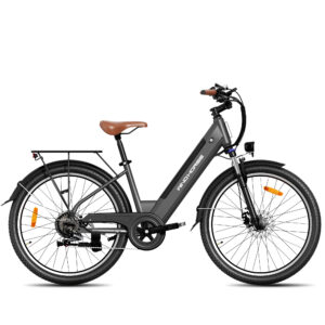F2 Electric Bike 350W